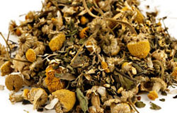 Chamomile