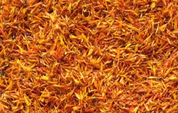 Safflower