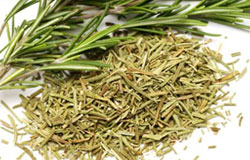 Rosemary