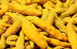 Turmeric