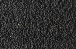 Black Cumin