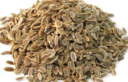 Dill Seed