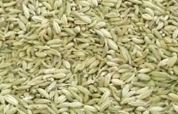 Fennel Seed