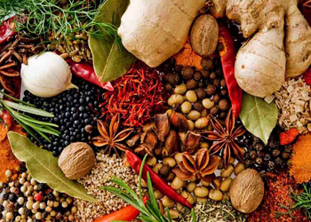 SPICES