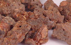 Myrrh