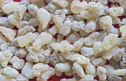 Olibanum