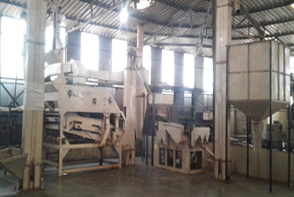 MiniGrader