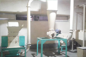 Food Grinder/ Pulverizer